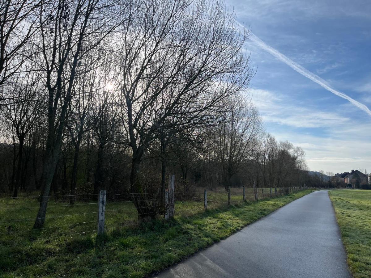 Le Nid De Salsa Apartment Walferdange ภายนอก รูปภาพ